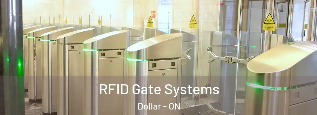  RFID Gate Systems Dollar - ON