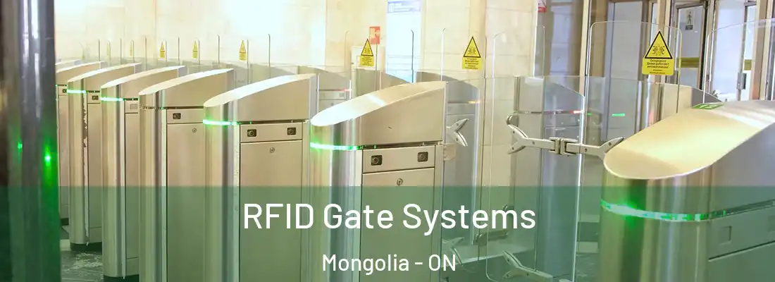  RFID Gate Systems Mongolia - ON