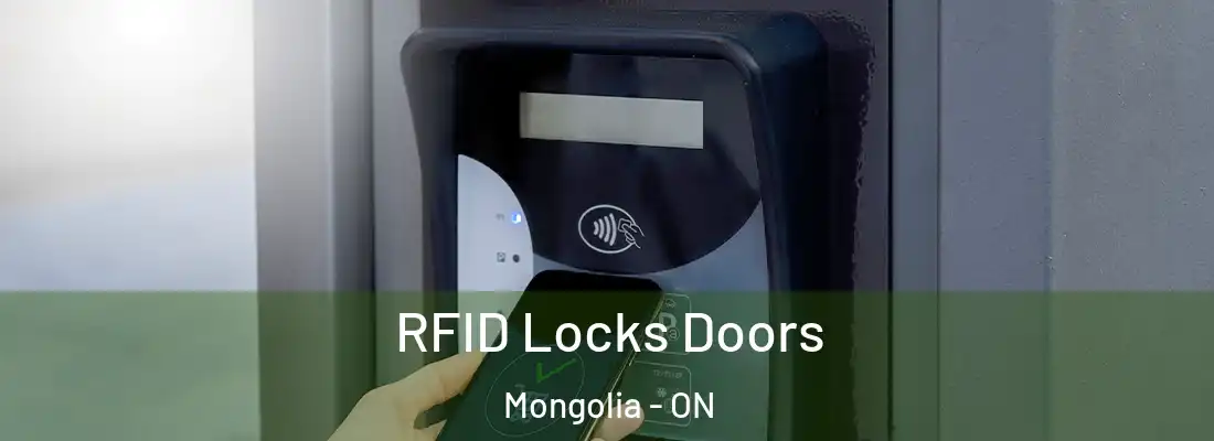  RFID Locks Doors Mongolia - ON