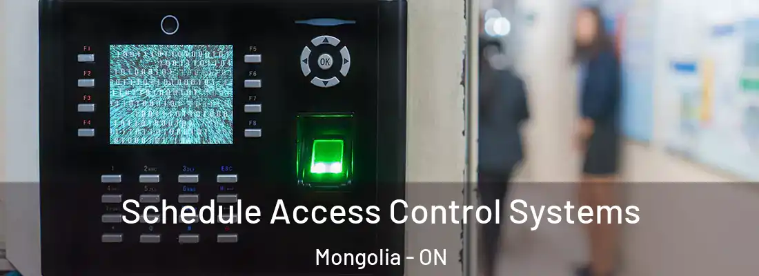  Schedule Access Control Systems Mongolia - ON