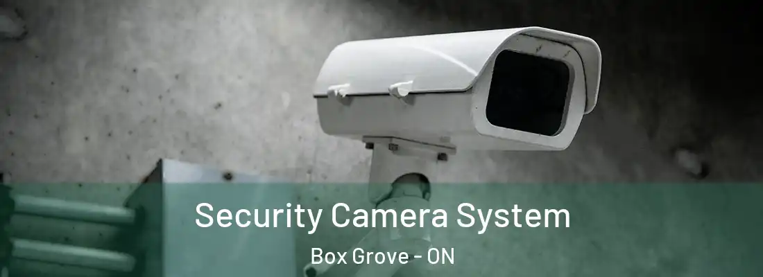  Security Camera System Box Grove - ON