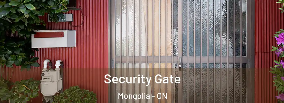  Security Gate Mongolia - ON
