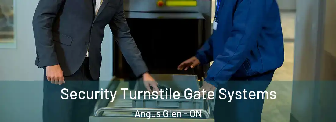  Security Turnstile Gate Systems Angus Glen - ON