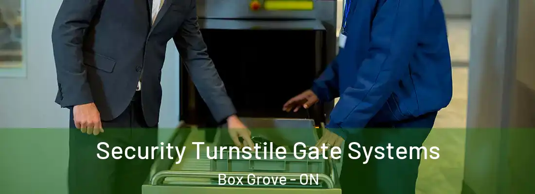  Security Turnstile Gate Systems Box Grove - ON