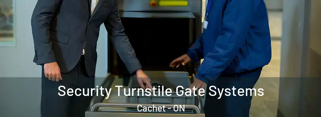  Security Turnstile Gate Systems Cachet - ON