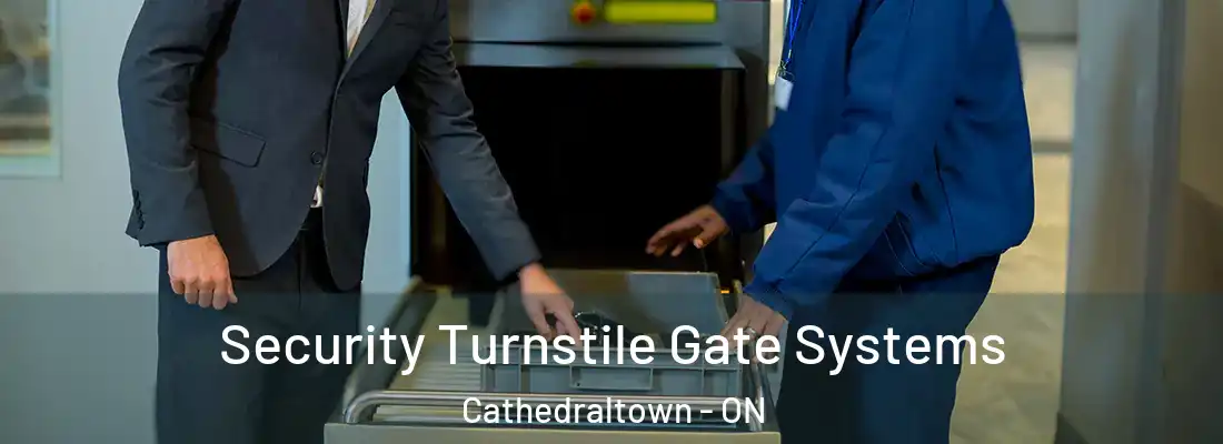  Security Turnstile Gate Systems Cathedraltown - ON