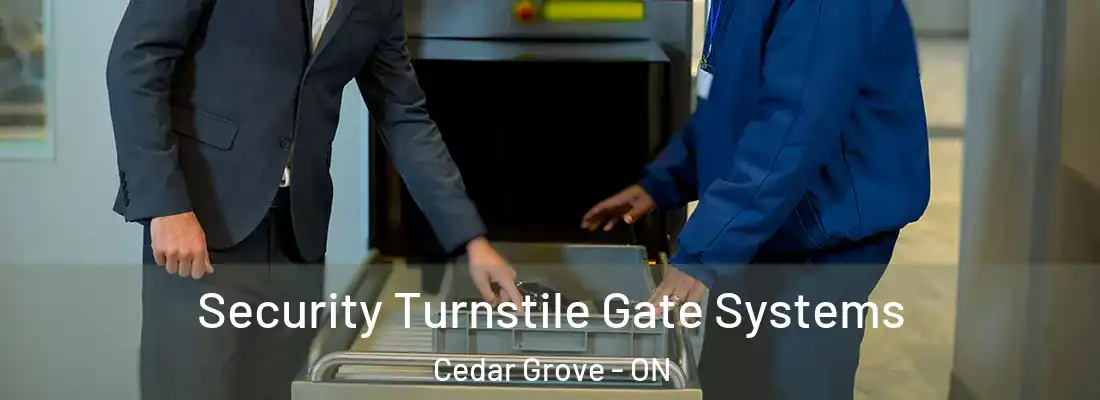  Security Turnstile Gate Systems Cedar Grove - ON