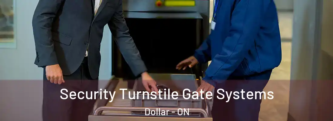  Security Turnstile Gate Systems Dollar - ON