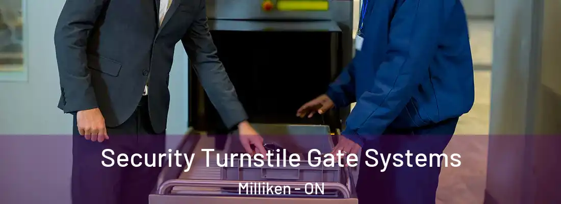  Security Turnstile Gate Systems Milliken - ON