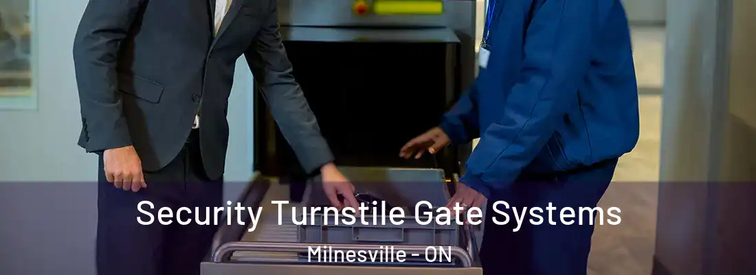  Security Turnstile Gate Systems Milnesville - ON