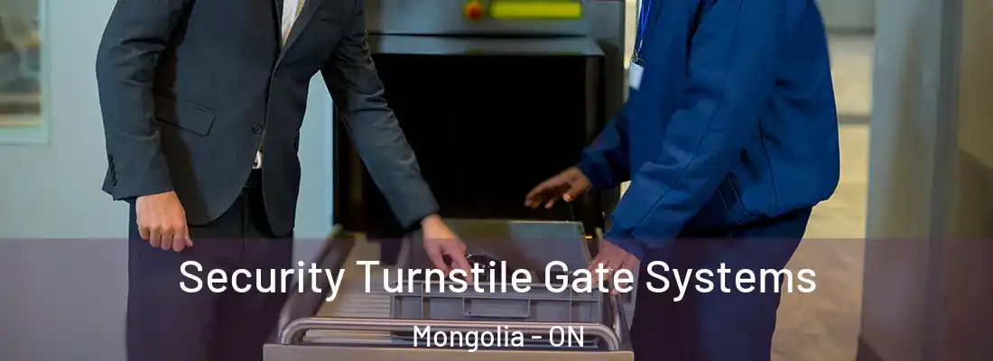  Security Turnstile Gate Systems Mongolia - ON