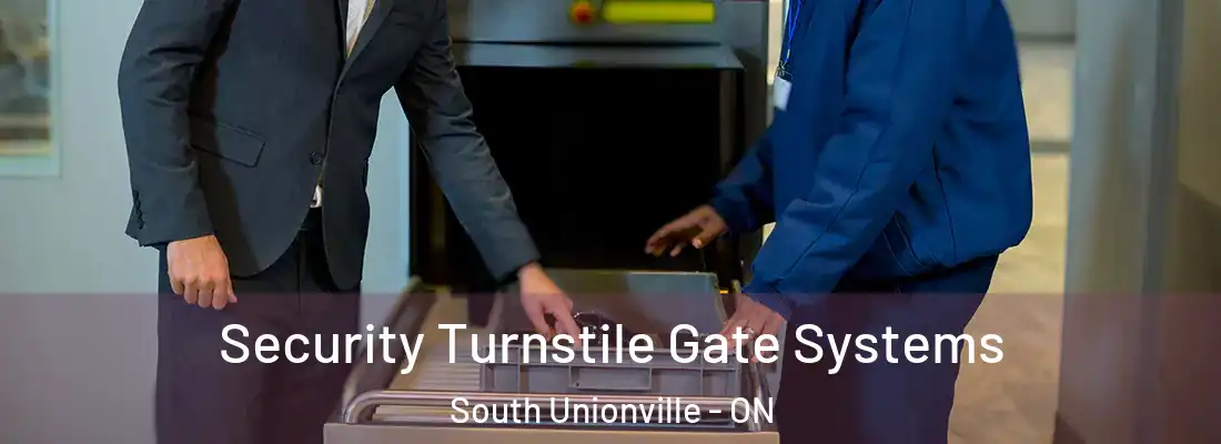  Security Turnstile Gate Systems South Unionville - ON