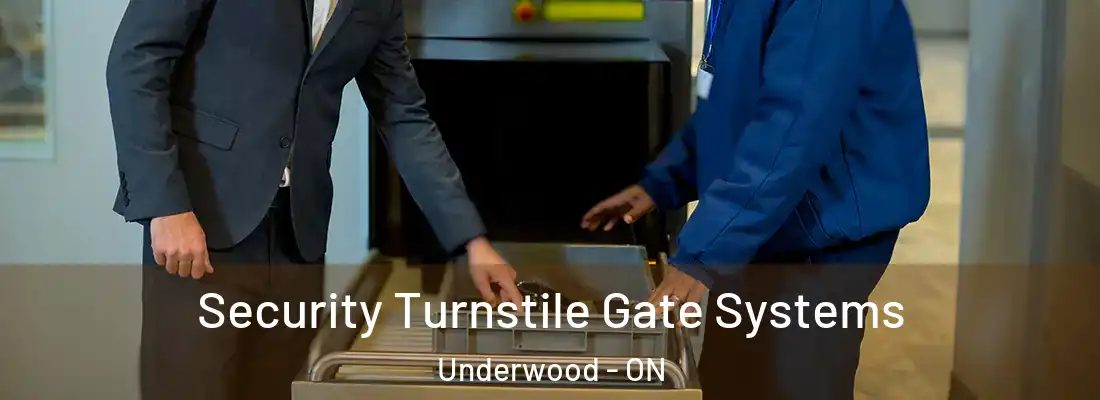  Security Turnstile Gate Systems Underwood - ON