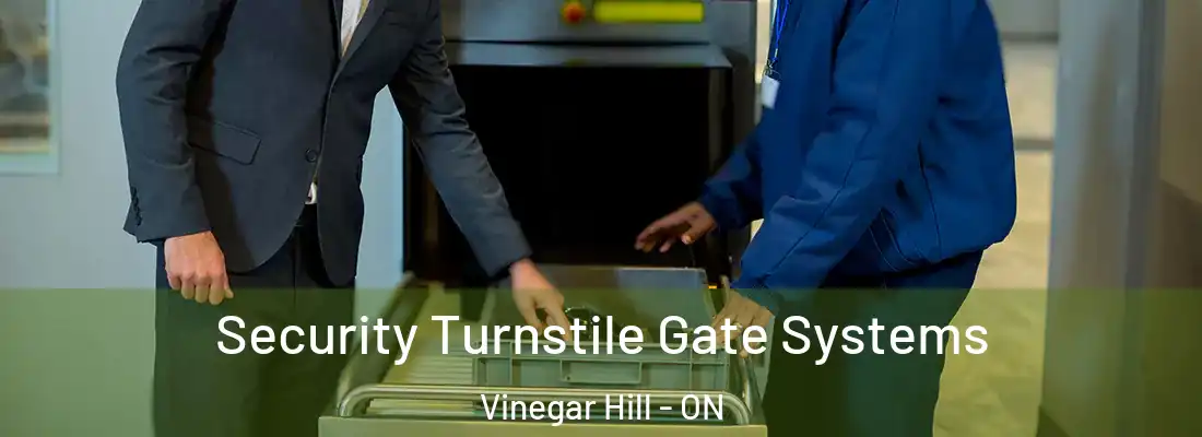  Security Turnstile Gate Systems Vinegar Hill - ON