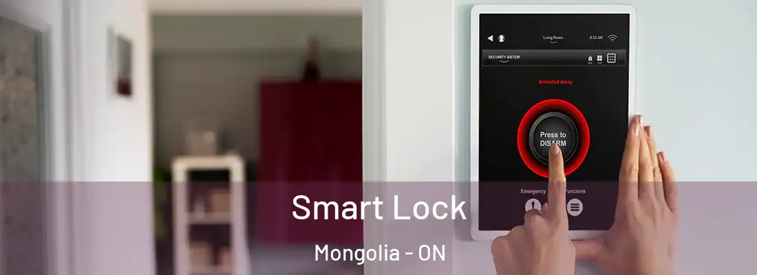  Smart Lock Mongolia - ON