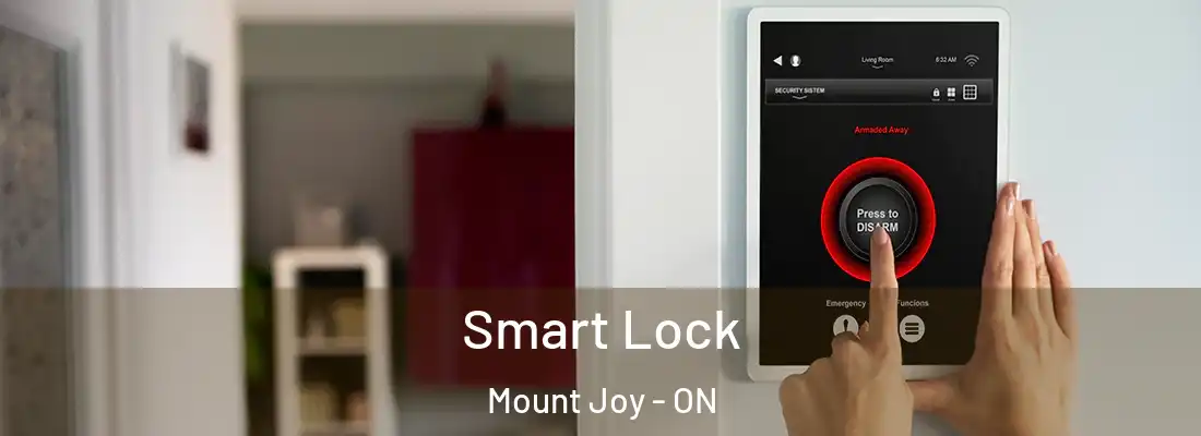 Smart Lock Mount Joy - ON