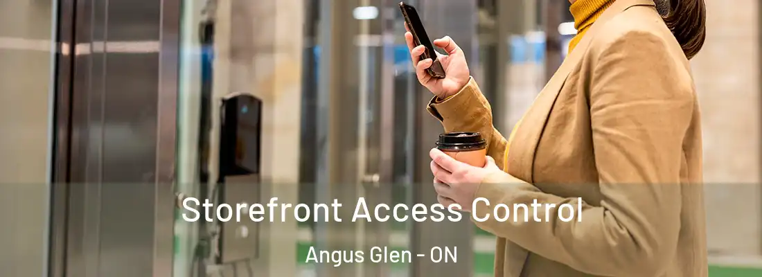  Storefront Access Control Angus Glen - ON
