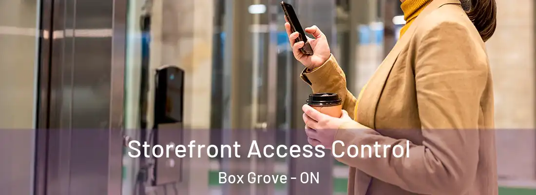  Storefront Access Control Box Grove - ON