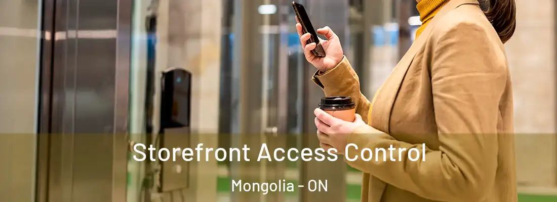  Storefront Access Control Mongolia - ON