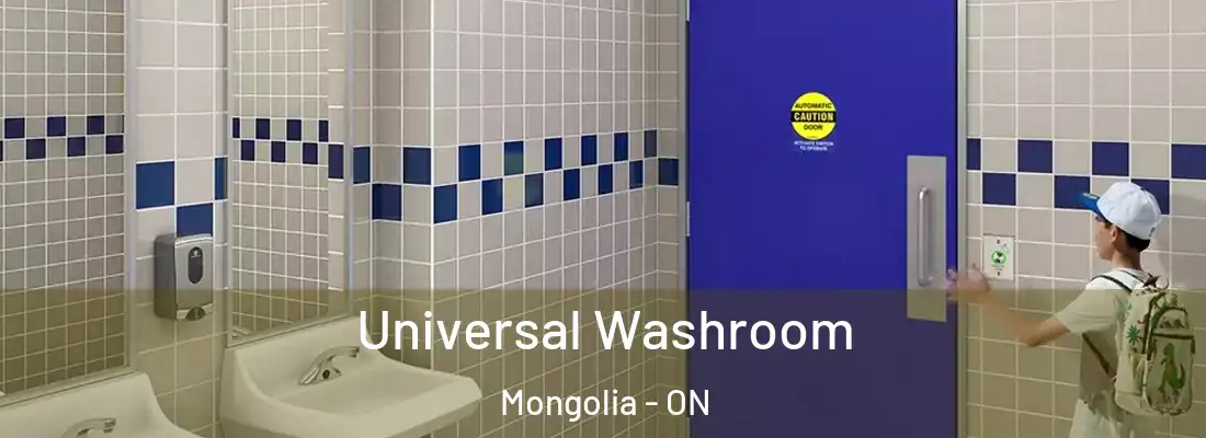  Universal Washroom Mongolia - ON