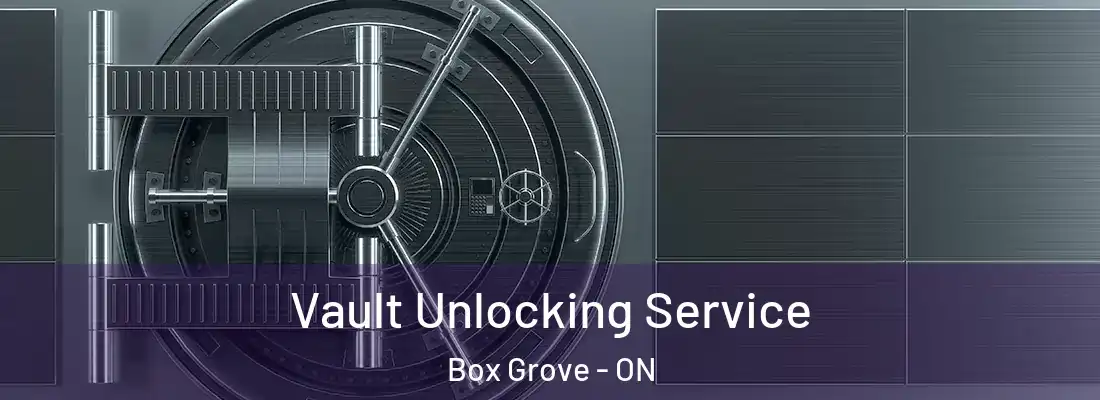  Vault Unlocking Service Box Grove - ON