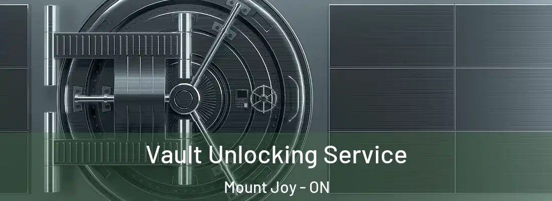  Vault Unlocking Service Mount Joy - ON