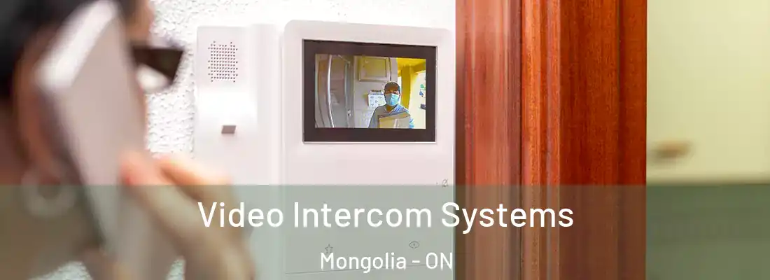  Video Intercom Systems Mongolia - ON