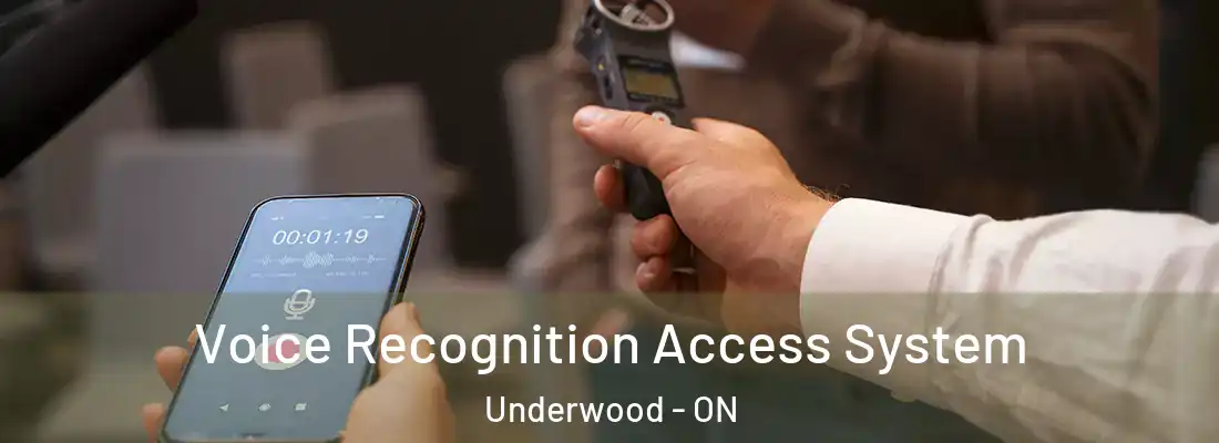  Voice Recognition Access System Underwood - ON